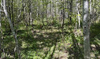Gratiot River Road lot A, Allouez, MI 49805