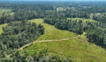 38774 S Mccarrol Rd, Amite, LA 70422