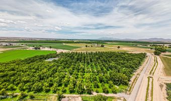 617 WALLACE Rd, Anthony, NM 88021