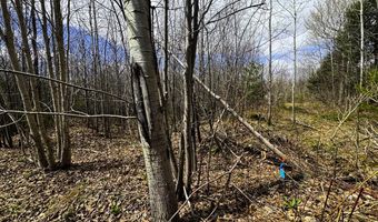 0 Burke Green Rd 2, Burke, VT 05832
