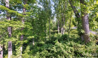 17 Tulip Poplar Trl 30, Asheville, NC 28804