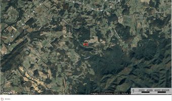 100 Bill Martin Rd, Afton, TN 37616
