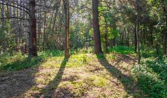 165 NW 150th Ln, Andover, MN 55304