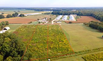 BLANCHARD Road lot 2, Bridgeville, DE 19933