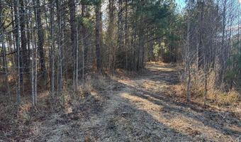 LOT 4B MOLLYFIELD ROAD, Dagsboro, DE 19939