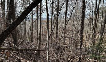 Highway 105, Baldwin, GA 30511