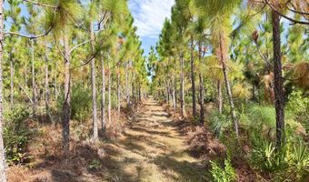 100 Doc Hunter Rd, Baxley, GA 31513