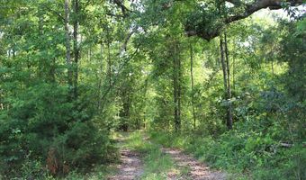 4540 Faceville Hwy, Bainbridge, GA 39819