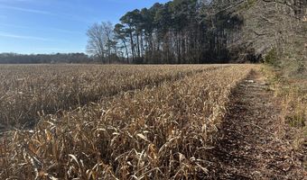 0 Bivalve Lodge Rd, Bivalve, MD 21814