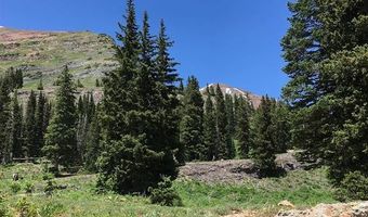 TBD Forest Service Road 861 D1, Crested Butte, CO 81224