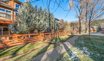 536 Evans Ct, Basalt, CO 81621