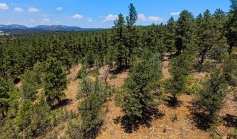 23251 Elk Trl, Aguilar, CO 81020
