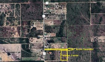 CR 151 E of CR 111, Alice, TX 78332