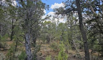 3221 Elk Springs Dr, Glenwood Springs, CO 81601