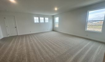 190 Peeps Ct, Adkins, TX 78101