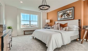 4681 Thistle Dr Plan: Tabor, Brighton, CO 80601