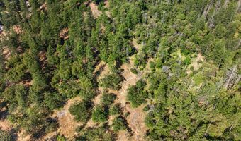 Elkader TL 100 Street, Ashland, OR 97520