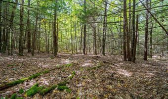 Riceville, Athol, MA 01331