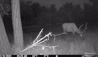 0 County Road 170, Agate, CO 80101