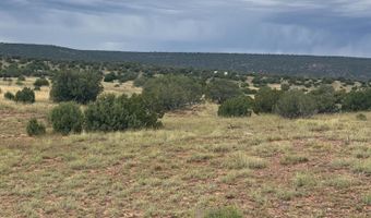 N8485, Concho, AZ 85924