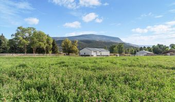 2700 Emma Rd, Basalt, CO 81621