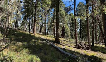 Calle de los Indios lot 101, Angel Fire, NM 87710