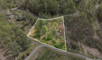 White Pine Lane 19, Bakersville, NC 28705