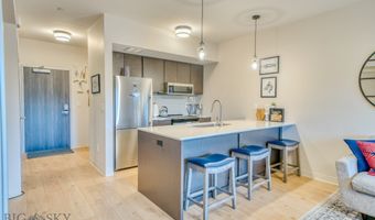 718 W Babcock Street 411, Bozeman, MT 59715