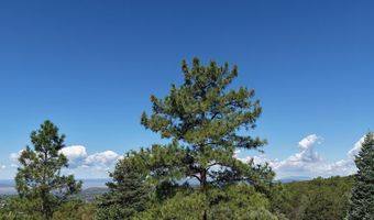 Robertos Lane, Arroyo Seco, NM 87514