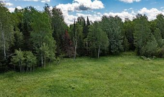 HILLVIEW Road, Antigo, WI 54409