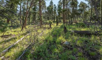 Vail Loop lot 400, Angel Fire, NM 87710