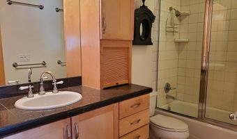 326 Midland Ave 306, Aspen, CO 81611