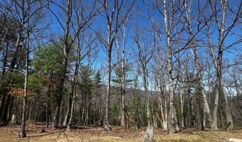 393 SPITZ Ln 99, Basye, VA 22810
