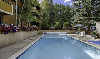 1020 E Hopkins Ave 9, Aspen, CO 81611