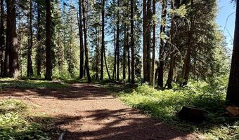 1321 W Mountain Rd, Cascade, ID 83611