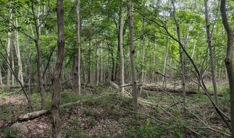 W Long Lake Road, Alpena, MI 49707