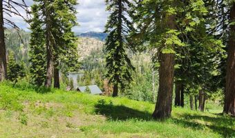 332 Snowshoe Rd, Bear Valley, CA 95223