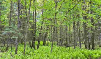 TBD W Shipley Rd, Alborn, MN 55702