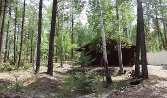 38 CR 2266, Alpine, AZ 85920