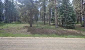 Lot 1311 San Pedro Dr, Angel Fire, NM 87710