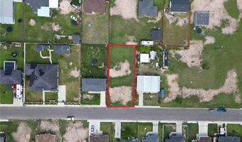 813 Pelican St, Alamo, TX 78516