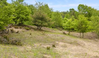 15380 Lake Bluff Dr, Arcadia, MI 49613