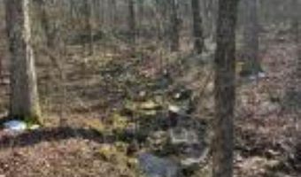 Whiskey Creek Lane, Batesville, AR 72501