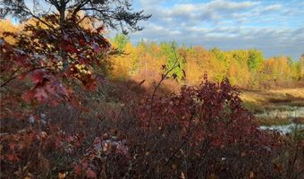 31538 County 23, Akeley, MN 56433