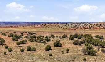 105 County Road N9328, Concho, AZ 85924