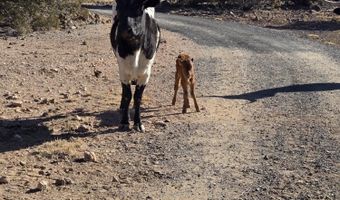10777 Raging Crab Rd, Ash Fork, AZ 86320