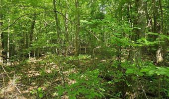 0 Lawson Federal, Ball Ground, GA 30107