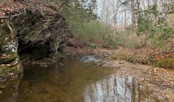 PAYNES POND RD, Arvonia, VA 23004