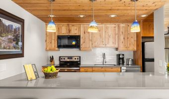 1039 E COOPER Avenue 21A, Aspen, CO 81611