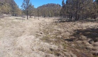 Lot 35 Blk 24 MRE Tiger Lane, Alturas, CA 96101